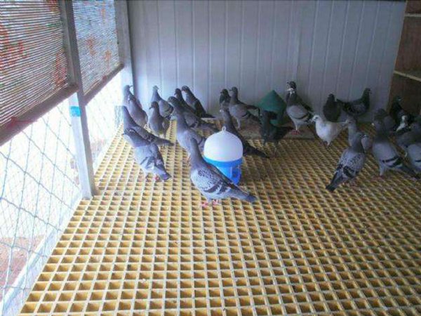 玻璃钢格栅用途广泛之养殖格栅