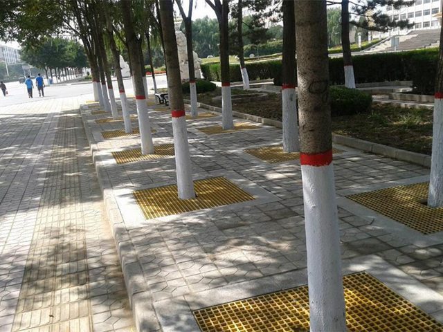 树池格栅篦子定制