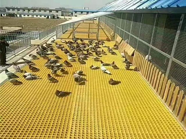 玻璃钢养殖格栅-鸽舍鸭舍漏粪板