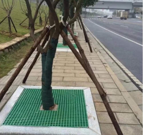 树池保护板,市政道路护树板厂家,各种玻璃钢,盖板钢格栅,格栅玻璃钢生产厂家,厂家玻璃钢定制.jpg