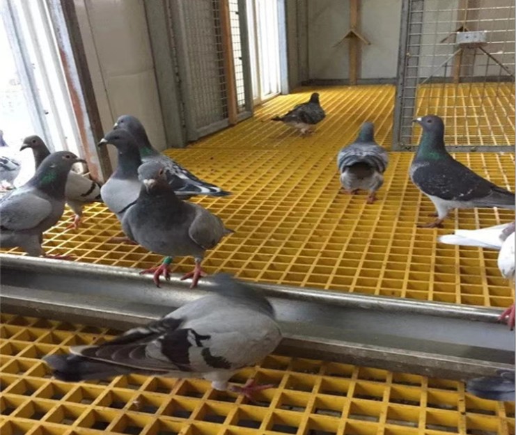 玻璃钢格栅地网