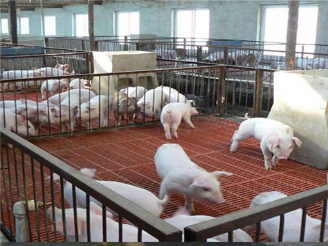 养殖专用玻璃钢格栅平台走道@鸽舍地网