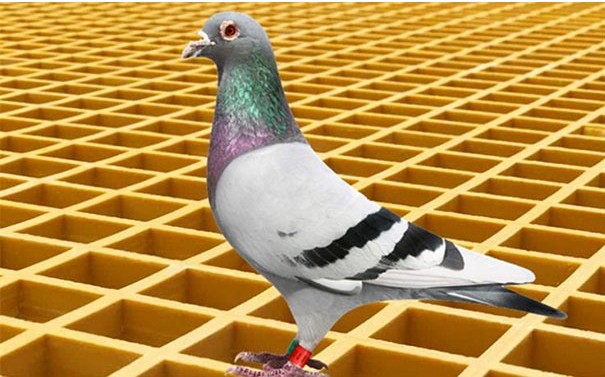 玻璃钢格栅怎样安装